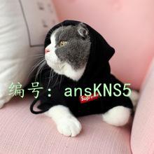 Ʋ