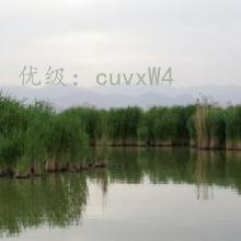 Ȼ